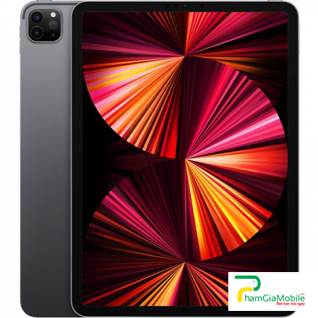 Thay Thế Sửa iPad Pro M1 11 inch 2021 Mất Rung, Liệt Rung